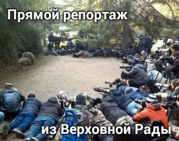 Смешные картинки из соц.сетей 