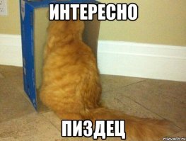 Селфи за секунду до смерти