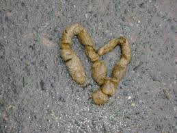 прям как это "восхитительное отложение в виде сердечка":