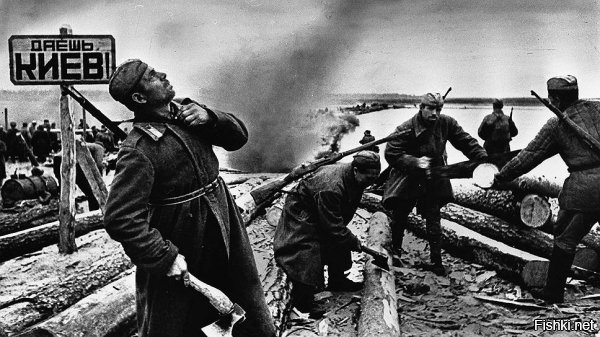 Самые кровопролитные сражения Великой Отечественной войны.

1. Битва за Москву.

Даты: 30 сентября 1941 года — 20 апреля 1942 года
Общая продолжительность: 202 дня
Потери советских войск: 1,8 млн человек
Потери немецких войск и союзников: 457,1 тыс. человек

2. Сталинградская битва.

Даты: 17 июля 1942 года — 2 февраля 1943 года
Общая продолжительность: 200 дней
Потери советских войск: 1,1 млн человек
Потери немецких войск и союзников: 850 тыс. человек

3. Битва за Днепр.

Даты: 26 августа — 23 декабря 1943 года
Общая продолжительность: 119 дней
Потери советских войск: 1,2 млн человек
Потери немецких войск и союзников: 400 тыс. человек

4. Курская битва.

Даты: 5 июля — 23 августа 1943 года
Общая продолжительность: 49 дней
Потери советских войск: 863,3 тыс. человек
Потери немецких войск и союзников: 500 тыс. человек

5. Наступление на Правобережной Украине.

Даты: 24 декабря 1943 года — 17 апреля 1944 года
Общая продолжительность: 115 дней
Потери советских войск: 1,1 млн человек
Потери немецких войск и союзников: 250 тыс. человек

6. Операция «Багратион».

Даты: 23 июня — 29 августа 1944 года
Общая продолжительность: 67 дней
Потери советских войск: 765,8 тыс. человек
Потери немецких войск и союзников: 409 тыс. человек

7. Восточно-Прусская операция.

Даты: 13 января — 25 апреля 1945 года
Общая продолжительность: 102 дня
Потери советских войск: 584,7 тыс. человек
Потери немецких войск и союзников: 487,3 тыс. человек

8. Смоленское сражение.

Даты: 10 июля — 10 сентября 1941 года
Общая продолжительность: 62 дня
Потери советских войск: 759,9 тыс. человек
Потери немецких войск и союзников: 250 тыс. человек

9. Битва за Кавказ.

Даты: 25 июля 1942 года — 9 октября 1943 года
Общая продолжительность: 441 день
Потери советских войск: 593,9 тыс. человек
Потери немецких войск и союзников: 281 тыс. человек

10. Битва под Киевом.

Даты: 7 июля — 26 сентября 1941 года
Общая продолжительность: 81 день
Потери советских войск: 700,5 тыс. человек
Потери немецких войск и союзников: 128,6 тыс. человек
