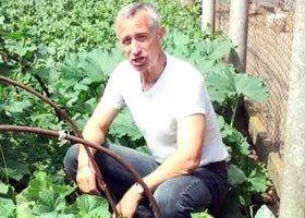 а лечится огурцами...