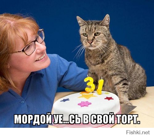 Старейший кот в мире отпраздновал 31-ый день рождения, и у него еще осталось много жизней