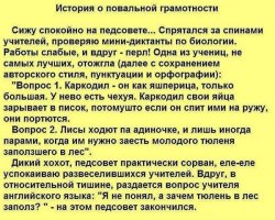Диктант,я так понимаю ,то что диктует учитель.Что за чушь учитель надиктовал?