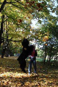Любимое время года.
После зимы:)