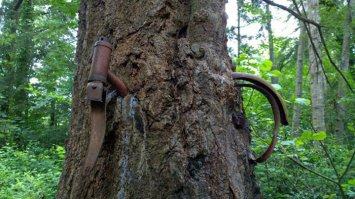 Кто колесо спёр?!