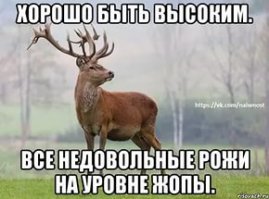 Прикольная визитка высокого парня