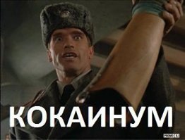 Переводчик или все-таки виноват кокаинум? )))