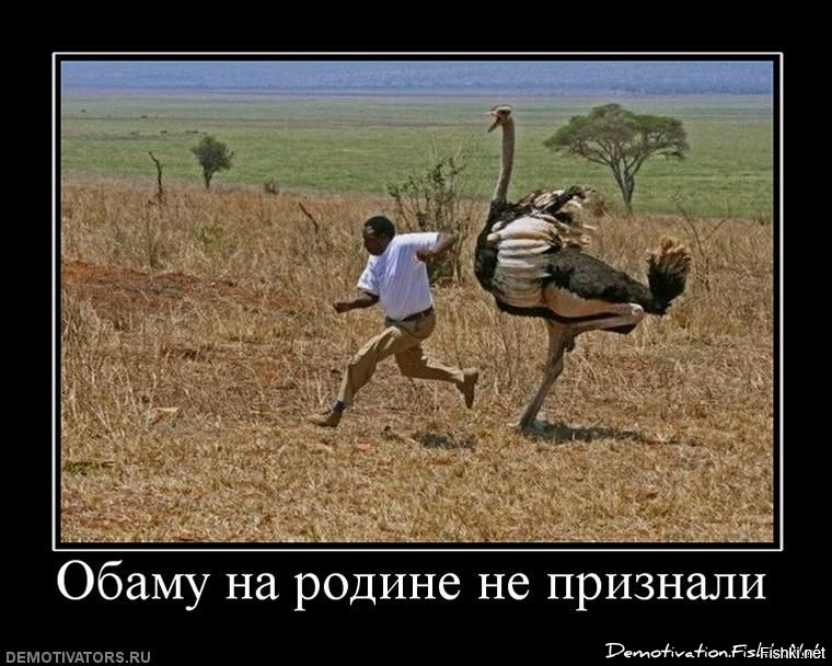 Политота может быть весёлой
