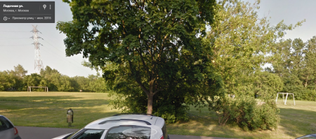 Это противостояние началось не в один день. Два года назад, на публичных слушаниях, власти представили жителям проект очередного «благоустройства» природной территории ПК№55, где значился «ремонт футбольного поля». Зеленый клеверный луг, на котором сегодня состоялось жестокое избиение местных женщин, никогда и нигде на балансе не стоял, как «футбольное поле», однако властям срочно понадобилось его ремонтировать. 
---