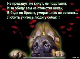 Догхантеры. Кто они?