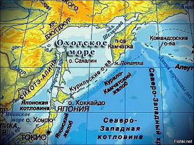 Не пойму, неужели японцы не догонят что острова им никто не отдаст? Важны не уступки, не их статус, не политические амбиции, не ископаемые, а география:
Де-юро Охотское море принадлежит России пока гряда Курил принадлежит ей. Между о.Кунаширом и Сахалином всего 270 км, это позволяет смыкать экономические зоны и монополизировать эксплуатацию водоёма.
Можно с чистой совестью выпидоривать любых иностранцев из акватории, а точнее не давать им туда проникнуть.
А вот если отдать японцам острова (или остров), то придётся делиться целым морем с ними на равных... точнее признавать международными водами со всеми вытекающими. Кому оно надо? 
Понятно что надо вести политически вежливы диалог, но наверное уже проще сказать японцам "Идите на][er, острова наши, мы их забрали как военный трофей во время 2 мировой, отдавать не собираемся, простите, увы и ах"
Пускай Гуадалканал просят у Соломоновых островов, или на Гаити претендуют, а ещё лучше сразу в КНДР предъявы шлют и территориальные претензии :)