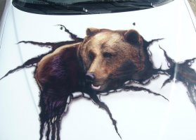 тоже на капот попал