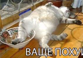 У кого больше всего подписчиков ВКонтакте?