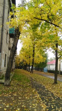 Осень в провинциальном городе. Когда я умру, пожалуй, поселюсь в таком октябре