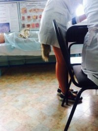 Разве это подстава?
Это - спалилась!