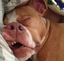 Когда меня спрашивают, какие планы на вечер?