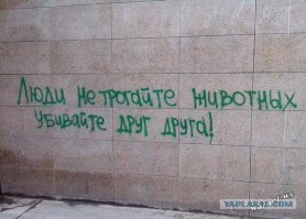 Этого щенка оставили умирать, привязав к лавке возле аптеки