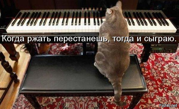 Смех в картинках