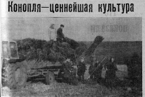 Газета Звезда за 1986 год