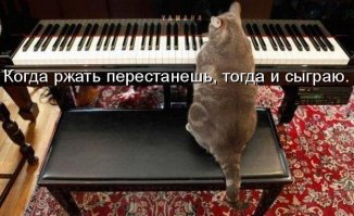 Смех в картинках