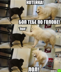 Смеялась от души), спасибо). 
Особенно понравилась эта фотка)))