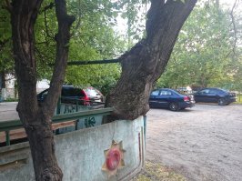 У себя в городе фоткал.
