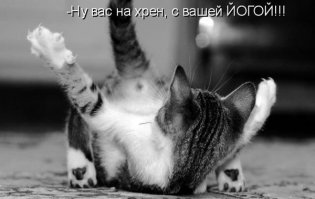 Упражнения, позволяющие сжечь больше всего калорий!