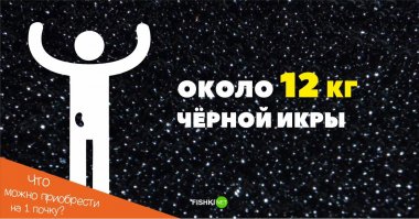 Фотоподборка за 10.10.2016