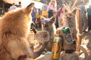 Искусство с живодерским уклоном: они тоже любили котиков