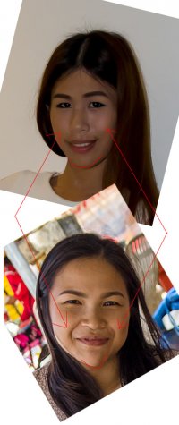 Разные скулы; у женщин есть "щечки" над носогубными складками, и подбородок острее обычно