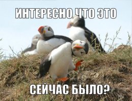 10 фотографий, требующих разъяснения