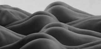 Фотограф Винсент Диксон 