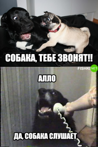 напомнило:
