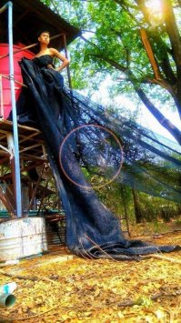 Блин, присматривалась сидела, что тут кружком выделено...