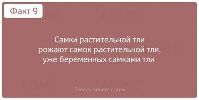 Знаете ли Вы? 2 Часть