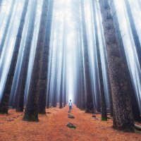 Гарри Поттер?