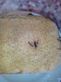 Ха) "начинку" не сразу заметил.))) Рязанская обл.