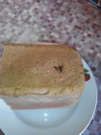 Ха) "начинку" не сразу заметил.))) Рязанская обл.