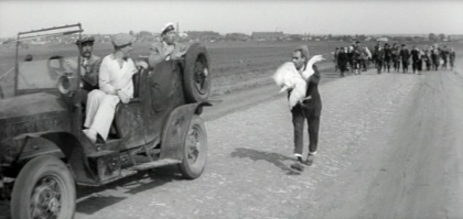 Таинственная цыпа сбежала из багажника автомобилиста