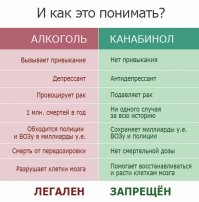 Ударим "баяном" по вражеской пропаганде!