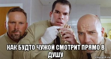 15 ужасных историй о фастфуде, которые навсегда отвратят вас от "предприятий быстрого питания"