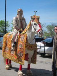 Вот и женишки-индючки..............)))))