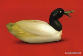 охвачена не вся плодоовощная продукция