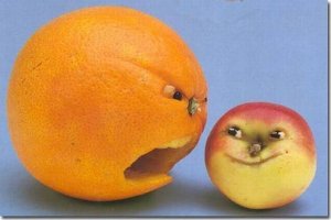 охвачена не вся плодоовощная продукция