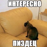 В больнице может случиться абсолютно всё! И даже такое