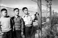 Атмосферу  нагнетали СМИ, которые пропагандировали ненависть по отношению к японцам, совершивших нападение на Перл-Харбор. И как Вы догадываетесь, покинутые дома и бизнесы японцев тут же  разграблялись. Часть американцев плевало в сторону японцев, угрожала расправой, но большинство старалось просто не замечать их.

Ребенок рядом с солдатом, который следит за "звакуацией"

Первоклашки приносят клятву флагу США перед "эвакуацией"

Рыбацкие лодки принадлежавшие японцам - выставлены на продажу.

Два мальчика в Сан-Франциско, один из них в шляпе "Помни Перл-Харбор" , машет уходящим автобусам.