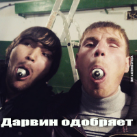 Премия Дарвина почти нашла своего героя