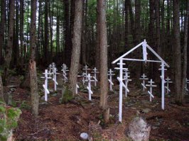 хахаха, фаня ну сколько можно глупые пропагандистские фото постить? Ни одного охранника, не лагерная жизнь а курорт, да правда ли это? НЕТ -неправда!
1.Генерал Джон Л.де Уитт выступая перед Конгрессом-
"Я не хочу, чтобы кто-нибудь из них (люди японского происхождения) был здесь. Они — опасный элемент. Нет способов, чтобы определить их лояльность… Не имеет никакого значения являются ли они американскими гражданами — они всё равно японцы. Американское гражданство не говорит о лояльности. Мы всегда должны проявлять беспокойство по поводу японцев, пока они не стёрты с лица Земли."

Например, Центр для перемещенных лиц Харт Маунтен на северо-западе Вайоминга был лагерем, окруженным колючей проволокой, с общим туалетом, койками вместо кроватей и бюджетом в 45 центов на человека в день. Так как большинство интернированных было выселенно из своих домов на западном побережье без заблаговременного уведомления и не ставилось в известность об окончательном местоназначении, многие не взяли одежду, подходящую для вайомингских зим, когда температура часто опускалась ниже −20 градусов Цельсия.
Все лагеря располагались на удаленных, пустынных территориях далеко от населённых пунктов и контролировались вооружённой охраной.Чтобы найти себе пропитание, люди пытались прорваться за ограждения из колючей проволоки. Существует немало свидетельств современников событий, рассказывающих о том, что охрана расстреливала тех, кто пытался прорваться за "колючку" в поисках грибов или ягод. В зимнее время депортированные рыли снег, чтобы извлечь мёрзлую траву и хоть как-то разнообразить свой рацион. В лагерях распространялись инфекционные болезни, и это распространение администрация лагерей не старалась остановить. Действовала негласная директива о том, что чем меньше депортированных японцев останутся в лагерях, тем лучше - экономичнее... И тех действительно оставалось всё меньше и меньше. Точных данных о том, сколько сгинуло в американском "ГУЛаге", не представлено до сих пор. И ещё кое-что об американской экономии - абсолютное большинство людей не свозили в спецлагеря, а заставляли добираться туда (внимание!) на свои средства!.. Сохранилась инструкция, по которой японские семьи в США должны были отчитываться о том, что выполнили закон и сами переехали в концлагерь. Цинизм, который в истории ещё поискать! 
  Итак, самая демократичная демократия в мире -без суда и следствия схватила своих граждан, отобрала у них все имущество и вывезла стариков , женщин и детей в удаленные необжитые районы с суровым климатом поселила в бараки окруженные колючей проволокой...
      с чем бы сравнить? А вот со сталинскими временами -переселение крымских татар например? Похожий пример? НЕТ -не похожий! Крымские татары служили гитлеру и убивали граждан СССР, а японские американцы были гражданами США и любили свою страну.
Крымские татары переселявшиеся в Узбекистан,Казахстан и Таджикистан жили в условиях не худших чем в Крыму. Их не держали за колючей проволокой. Вывод -"изуверский режим" Сталина был гораздо мягче чем "самая демократичная демократия".