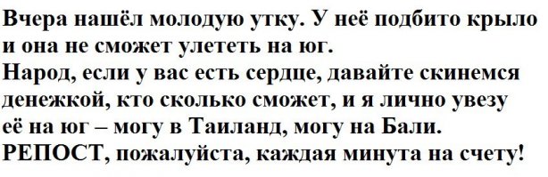 Американец вырастил и превратил в Инстаграм-знаменитость спасённого им дикого гусёнка