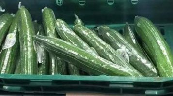  Екатерина Андреева провела экскурсию по магазину пенисов